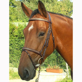 Dy'on D Collection Snake Style Flash Bridle